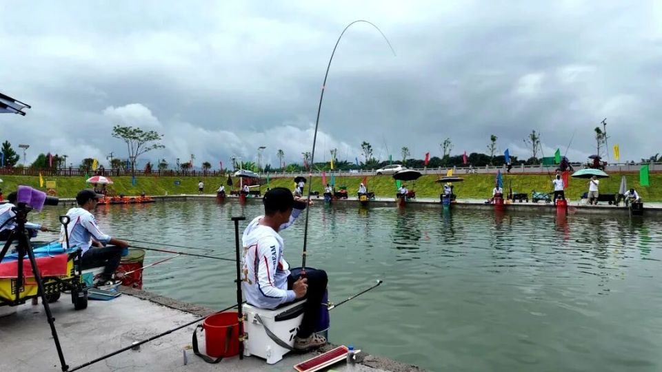 体产业深度, 的梦中圣地, px 体产业深度, 的梦中圣地, px