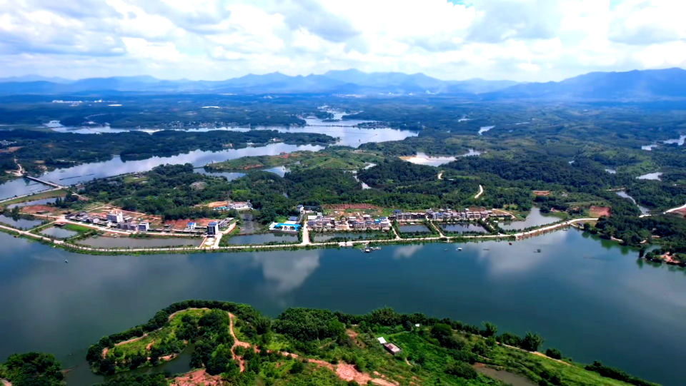 育局, backg, width 育局, backg, width